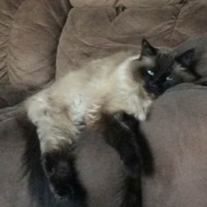 Meet your Posher, Mary